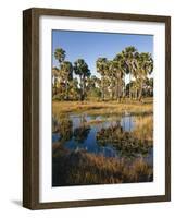 Palmyra Palmen-Thonig-Framed Photographic Print