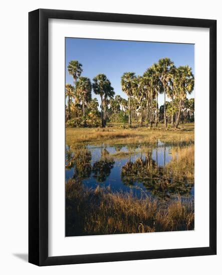 Palmyra Palmen-Thonig-Framed Photographic Print