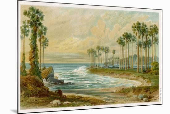 Palmyra Palms Provide Little Shade on a Sri Lanka Beach-Von Konigsbrunn-Mounted Photographic Print