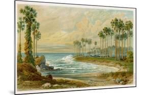 Palmyra Palms Provide Little Shade on a Sri Lanka Beach-Von Konigsbrunn-Mounted Photographic Print