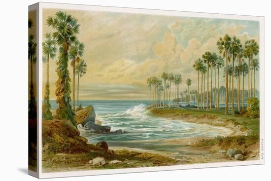 Palmyra Palms Provide Little Shade on a Sri Lanka Beach-Von Konigsbrunn-Stretched Canvas