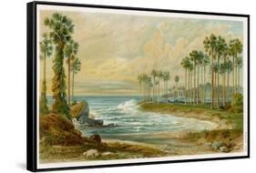 Palmyra Palms Provide Little Shade on a Sri Lanka Beach-Von Konigsbrunn-Framed Stretched Canvas