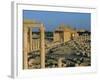 Palmyra, Ruins of Roman City, Syria, Middle East-Sylvain Grandadam-Framed Photographic Print