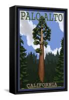 Palo Alto, California - California Redwoods-Lantern Press-Framed Stretched Canvas