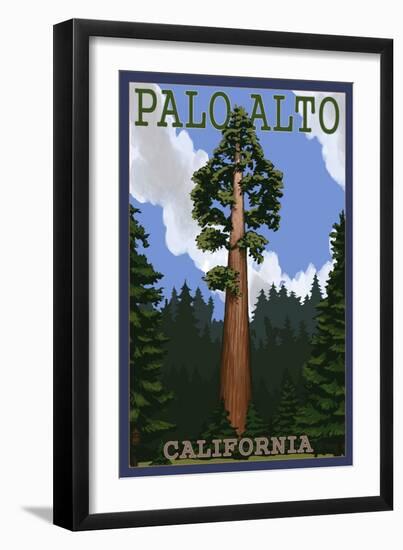 Palo Alto, California - California Redwoods-Lantern Press-Framed Art Print