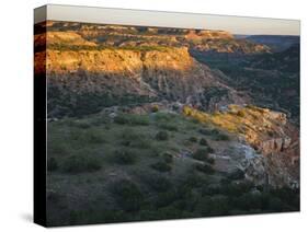 Palo Duro Canyon State Park, Texas, USA-Larry Ditto-Stretched Canvas