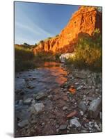 Palo Duro Canyon State Park, Texas, USA-Larry Ditto-Mounted Photographic Print