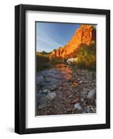 Palo Duro Canyon State Park, Texas, USA-Larry Ditto-Framed Photographic Print