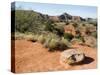 Palo Duro State Park, Near Amarillo, Texas, USA-Ethel Davies-Stretched Canvas