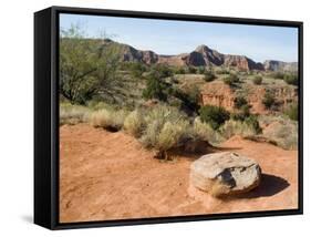 Palo Duro State Park, Near Amarillo, Texas, USA-Ethel Davies-Framed Stretched Canvas