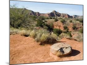 Palo Duro State Park, Near Amarillo, Texas, USA-Ethel Davies-Mounted Photographic Print