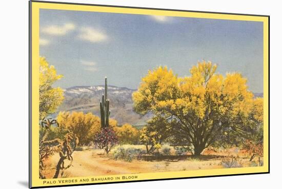 Palo Verde Trees and Saguaro in Desert-null-Mounted Art Print