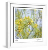 Palo Verde-Ken Bremer-Framed Limited Edition