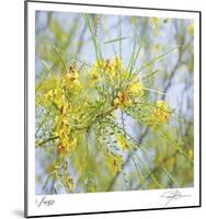 Palo Verde-Ken Bremer-Mounted Limited Edition