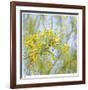 Palo Verde-Ken Bremer-Framed Limited Edition