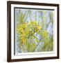 Palo Verde-Ken Bremer-Framed Limited Edition