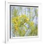 Palo Verde-Ken Bremer-Framed Limited Edition