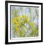 Palo Verde-Ken Bremer-Framed Limited Edition