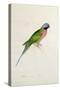 Paloeornis India, 1830s-Edward Lear-Stretched Canvas