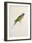 Paloeornis India, 1830s-Edward Lear-Framed Giclee Print