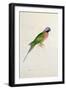 Paloeornis India, 1830s-Edward Lear-Framed Giclee Print