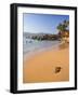 Palolem, Goa, India, Asia-Ben Pipe-Framed Photographic Print