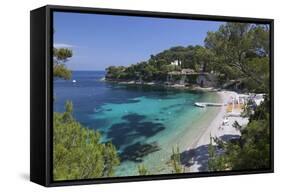 Paloma Beach-Stuart Black-Framed Stretched Canvas