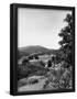 Essential Black