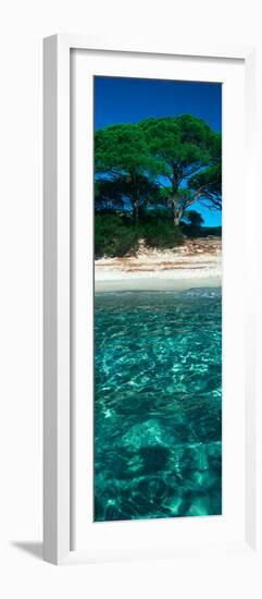 Palombaggia Beach from the Water, Corsica, France-null-Framed Photographic Print