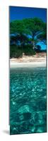 Palombaggia Beach from the Water, Corsica, France-null-Mounted Photographic Print