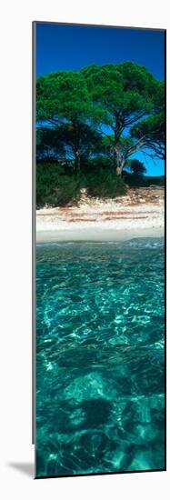 Palombaggia Beach from the Water, Corsica, France-null-Mounted Photographic Print