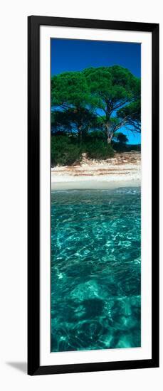 Palombaggia Beach from the Water, Corsica, France-null-Framed Photographic Print