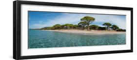 Palombaggia beach in the summer morning, Corsica, France-null-Framed Photographic Print