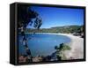 Palombaggia Beach, Near Porto Vecchio, South East Corsica, Corsica, France, Mediterranean, Europe-Stuart Black-Framed Stretched Canvas