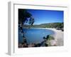 Palombaggia Beach, Near Porto Vecchio, South East Corsica, Corsica, France, Mediterranean, Europe-Stuart Black-Framed Photographic Print