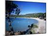 Palombaggia Beach, Near Porto Vecchio, South East Corsica, Corsica, France, Mediterranean, Europe-Stuart Black-Mounted Photographic Print