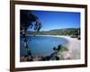 Palombaggia Beach, Near Porto Vecchio, South East Corsica, Corsica, France, Mediterranean, Europe-Stuart Black-Framed Photographic Print