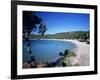 Palombaggia Beach, Near Porto Vecchio, South East Corsica, Corsica, France, Mediterranean, Europe-Stuart Black-Framed Photographic Print