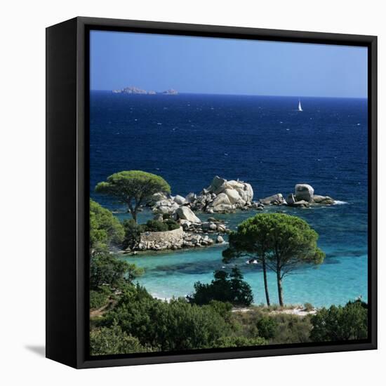 Palombaggia Beach, Near Porto Vecchio, South East Corsica, Corsica, France, Mediterranean, Europe-Stuart Black-Framed Stretched Canvas