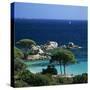 Palombaggia Beach, Near Porto Vecchio, South East Corsica, Corsica, France, Mediterranean, Europe-Stuart Black-Stretched Canvas