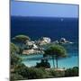 Palombaggia Beach, Near Porto Vecchio, South East Corsica, Corsica, France, Mediterranean, Europe-Stuart Black-Mounted Premium Photographic Print