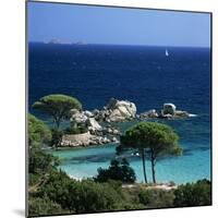 Palombaggia Beach, Near Porto Vecchio, South East Corsica, Corsica, France, Mediterranean, Europe-Stuart Black-Mounted Photographic Print