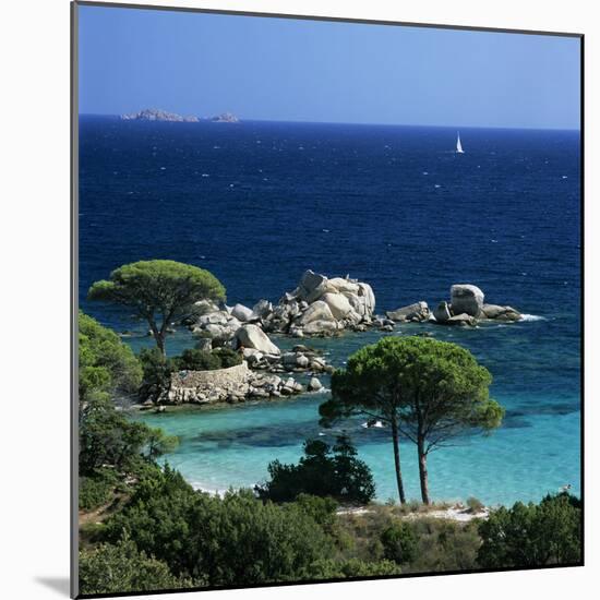 Palombaggia Beach, Near Porto Vecchio, South East Corsica, Corsica, France, Mediterranean, Europe-Stuart Black-Mounted Photographic Print