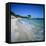 Palombaggia Beach, Near Porto Vecchio, South East Corsica, Corsica, France, Mediterranean, Europe-Stuart Black-Framed Stretched Canvas