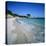 Palombaggia Beach, Near Porto Vecchio, South East Corsica, Corsica, France, Mediterranean, Europe-Stuart Black-Stretched Canvas