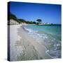 Palombaggia Beach, Near Porto Vecchio, South East Corsica, Corsica, France, Mediterranean, Europe-Stuart Black-Stretched Canvas