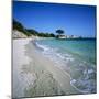 Palombaggia Beach, Near Porto Vecchio, South East Corsica, Corsica, France, Mediterranean, Europe-Stuart Black-Mounted Photographic Print