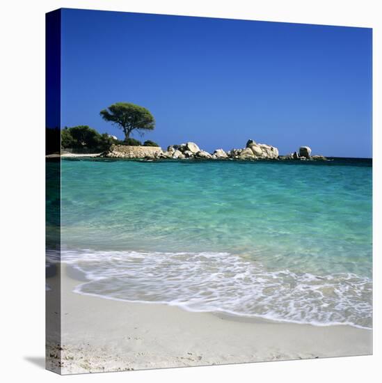 Palombaggia Beach, Near Porto Vecchio, South East Corsica, Corsica, France, Mediterranean, Europe-Stuart Black-Stretched Canvas