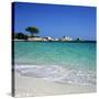 Palombaggia Beach, Near Porto Vecchio, South East Corsica, Corsica, France, Mediterranean, Europe-Stuart Black-Stretched Canvas