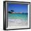 Palombaggia Beach, Near Porto Vecchio, South East Corsica, Corsica, France, Mediterranean, Europe-Stuart Black-Framed Photographic Print